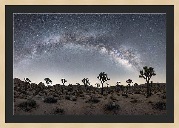 Night Sky Over Joshua Tree