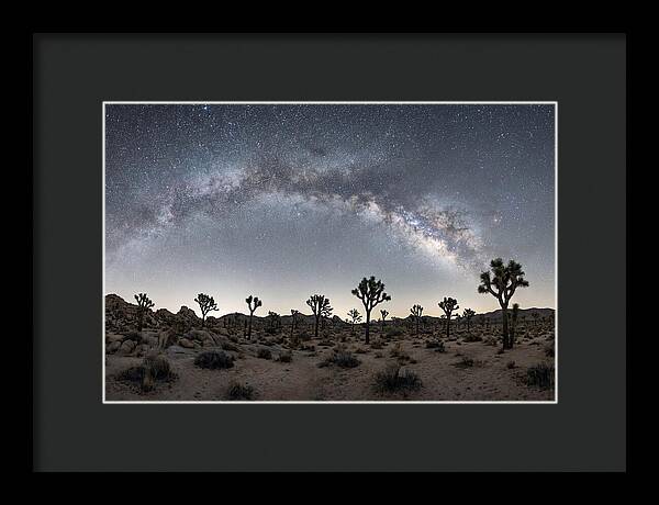 Night Sky Over Joshua Tree