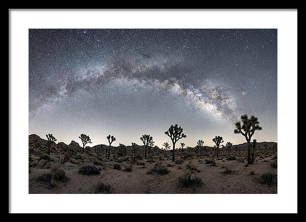 Night Sky Over Joshua Tree