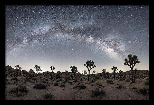 Night Sky Over Joshua Tree