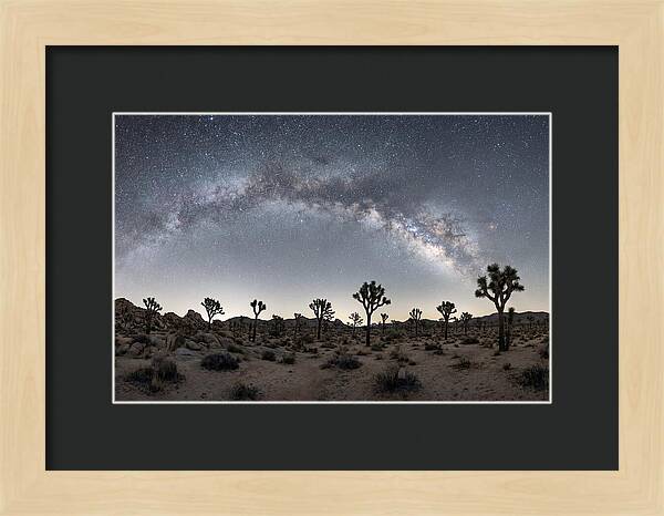 Night Sky Over Joshua Tree