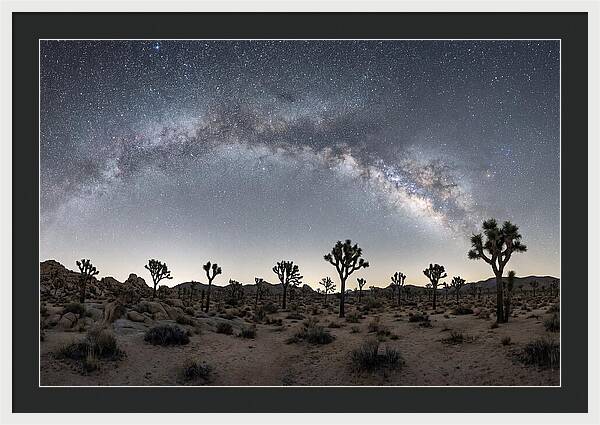 Night Sky Over Joshua Tree