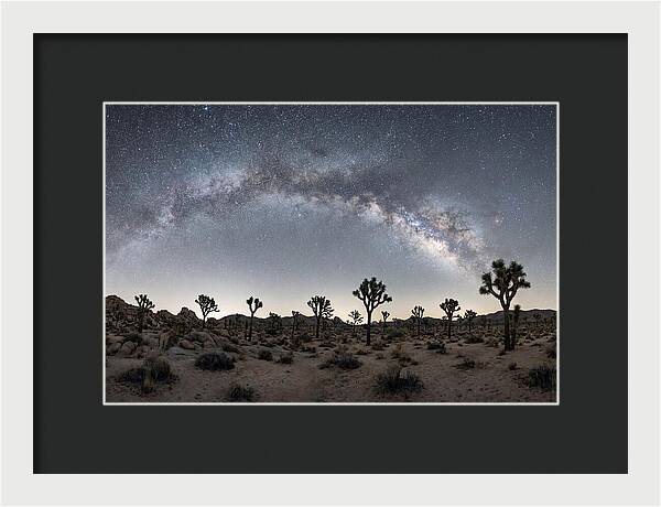 Night Sky Over Joshua Tree