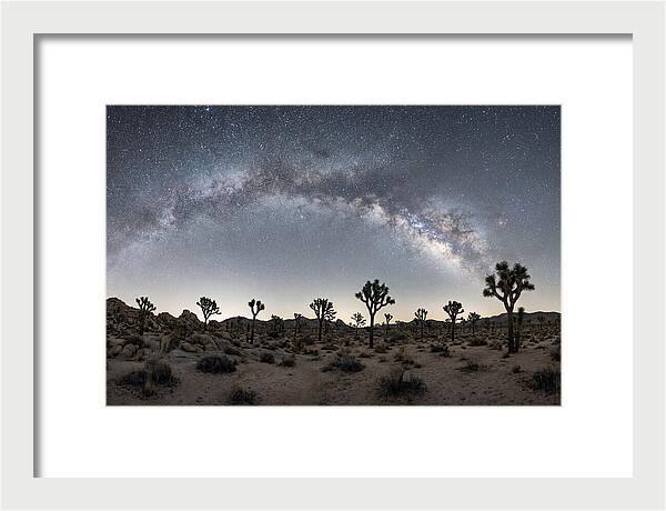 Night Sky Over Joshua Tree