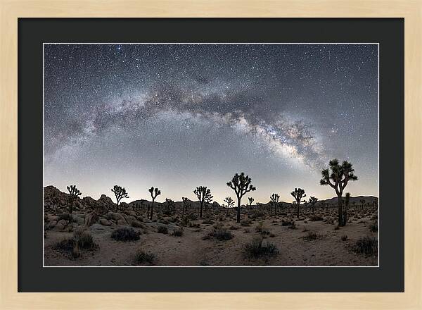 Night Sky Over Joshua Tree