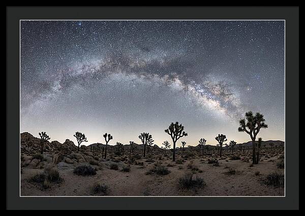Night Sky Over Joshua Tree