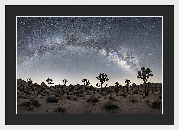 Night Sky Over Joshua Tree