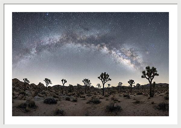 Night Sky Over Joshua Tree