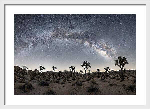 Night Sky Over Joshua Tree