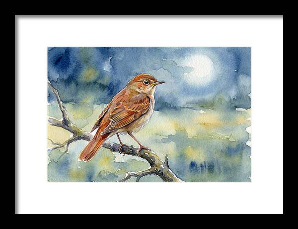 Nightingale In Moonlight