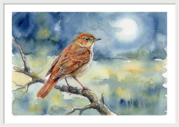 Nightingale In Moonlight