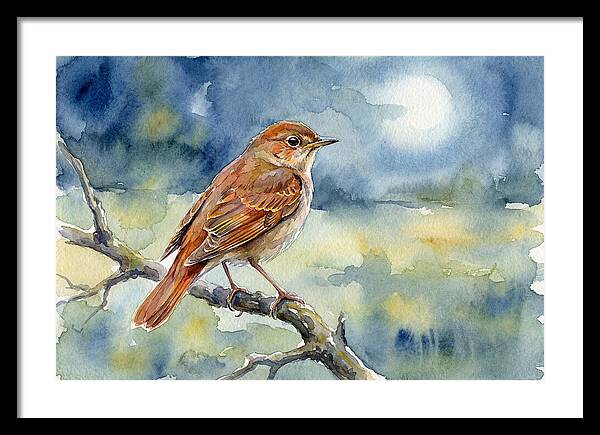 Nightingale In Moonlight