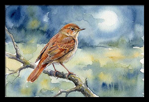 Nightingale In Moonlight
