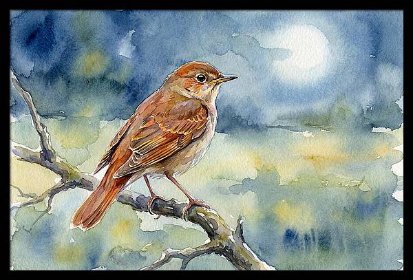 Nightingale In Moonlight