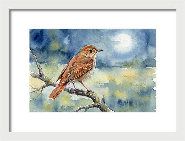 Nightingale In Moonlight