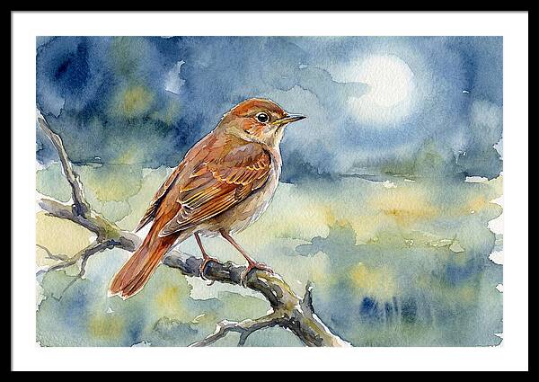 Nightingale In Moonlight