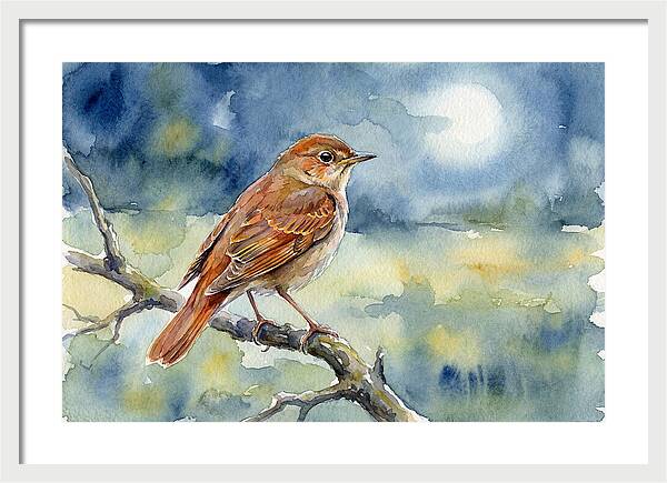 Nightingale In Moonlight