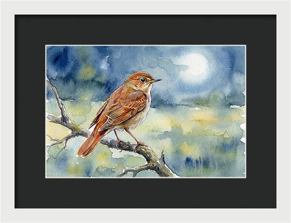Nightingale In Moonlight