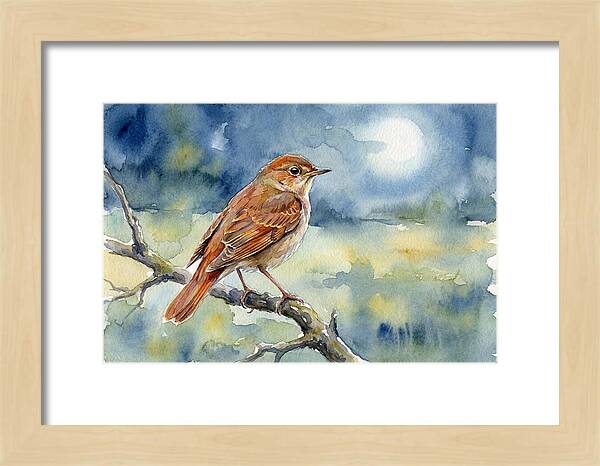 Nightingale In Moonlight