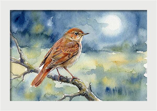 Nightingale In Moonlight