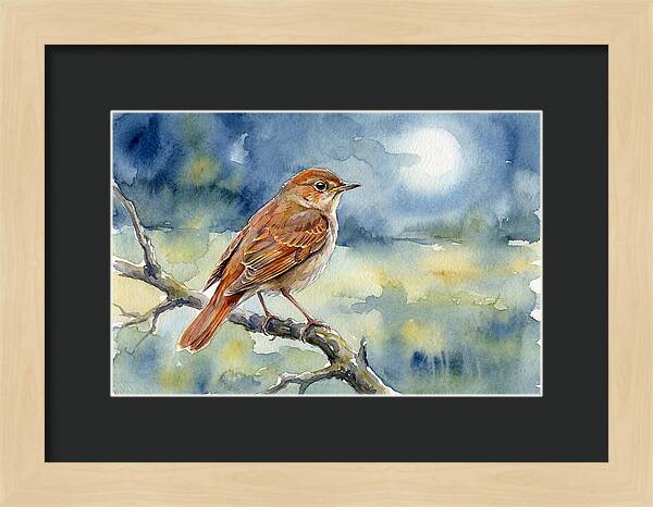 Nightingale In Moonlight