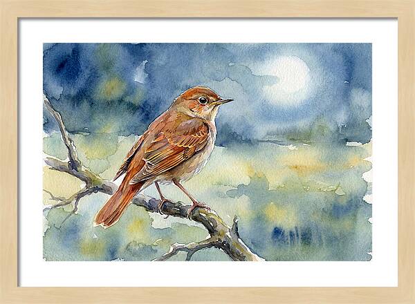 Nightingale In Moonlight