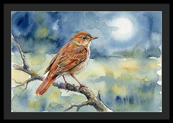 Nightingale In Moonlight