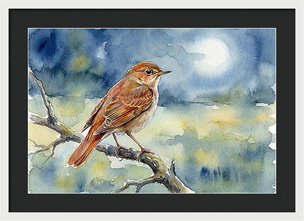 Nightingale In Moonlight