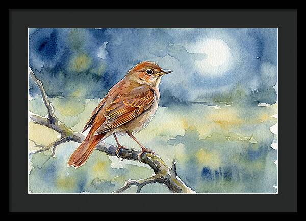 Nightingale In Moonlight