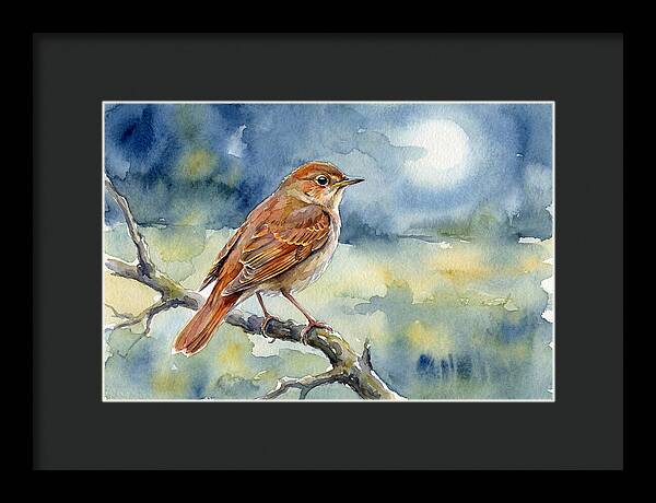 Nightingale In Moonlight