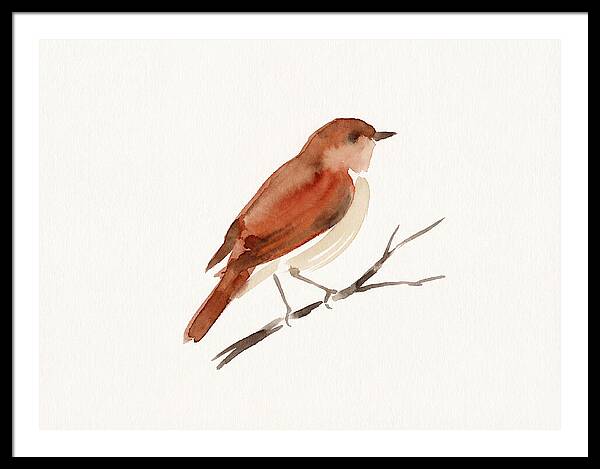 Nightingale Perched Gracefully
