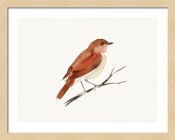 Nightingale Perched Gracefully