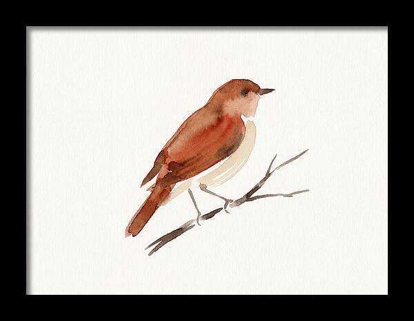 Nightingale Perched Gracefully
