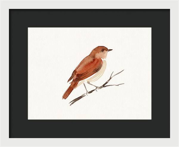 Nightingale Perched Gracefully