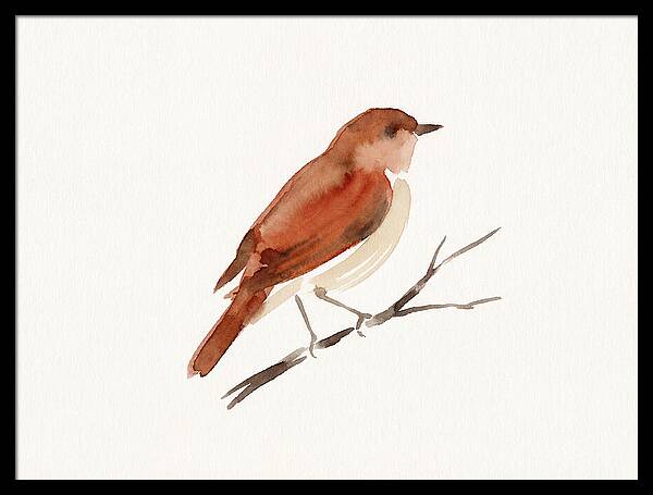 Nightingale Perched Gracefully