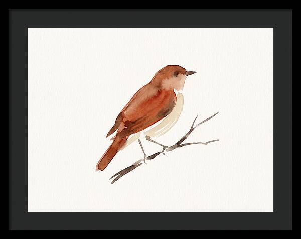 Nightingale Perched Gracefully