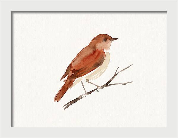 Nightingale Perched Gracefully