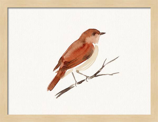 Nightingale Perched Gracefully
