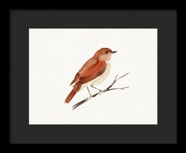 Nightingale Perched Gracefully