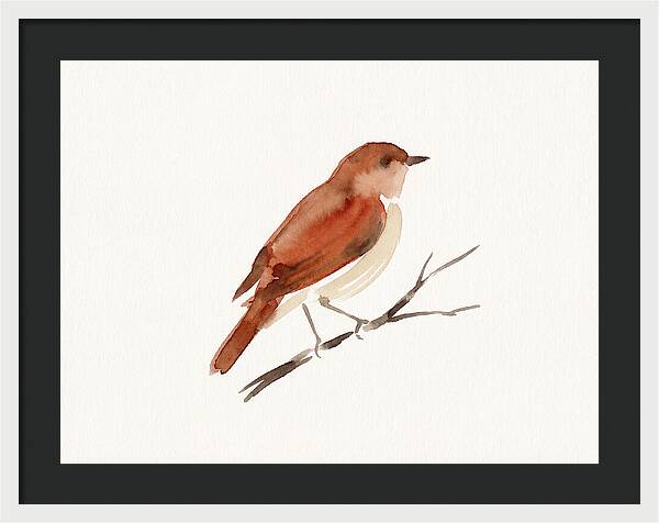Nightingale Perched Gracefully