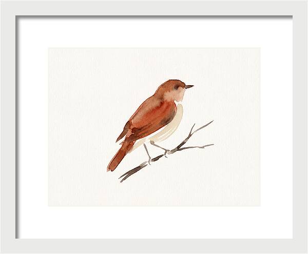Nightingale Perched Gracefully