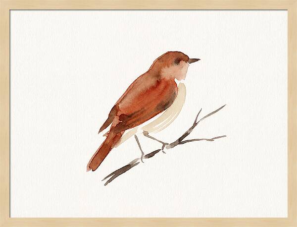 Nightingale Perched Gracefully