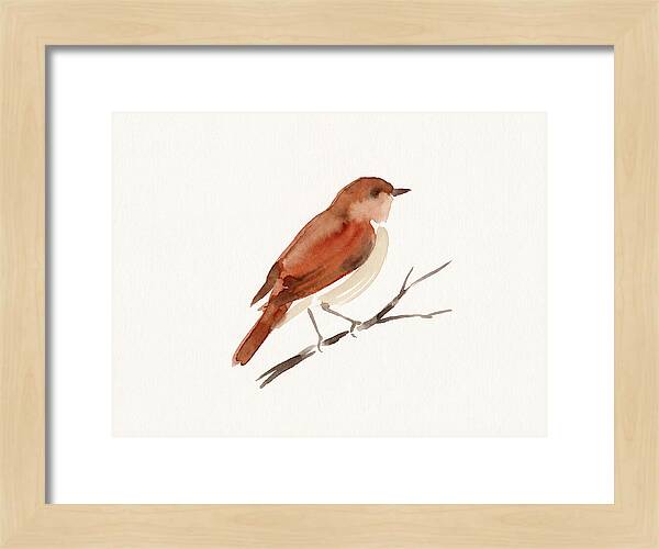 Nightingale Perched Gracefully