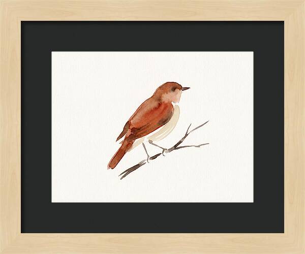 Nightingale Perched Gracefully