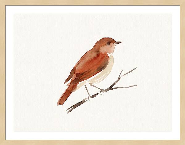Nightingale Perched Gracefully
