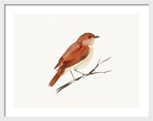 Nightingale Perched Gracefully