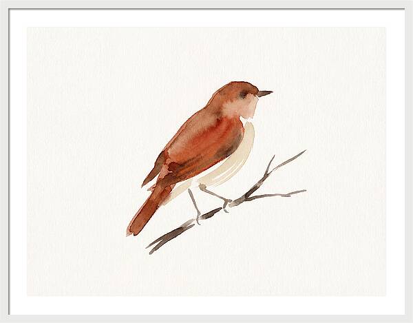 Nightingale Perched Gracefully