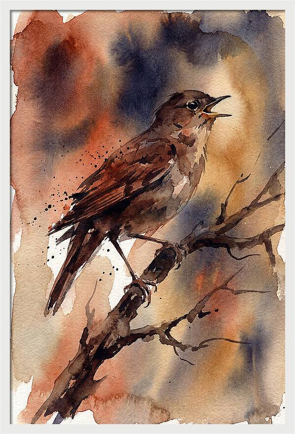 Nightingale Singing At Dusk