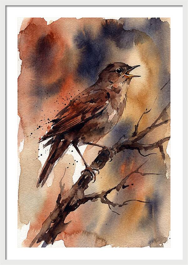 Nightingale Singing At Dusk