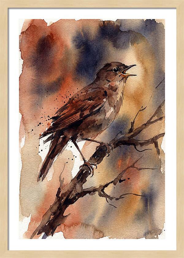 Nightingale Singing At Dusk